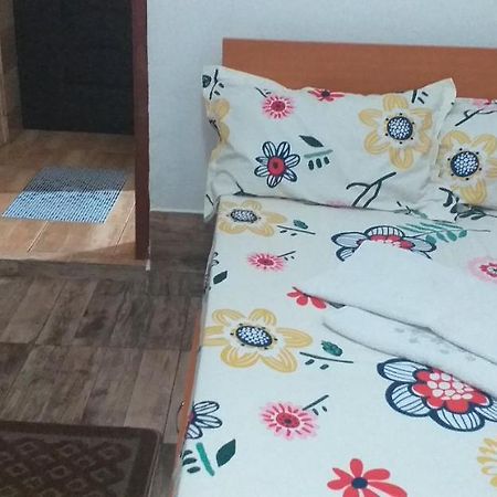 Apartament Garsoniera Buzău Zewnętrze zdjęcie
